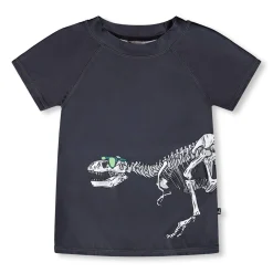 Online Dino Rashguard 2-6 Kids/BOY Swimsuits