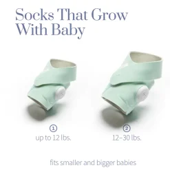 Monitors & Cameras>Owlet Dream Sock - Mint