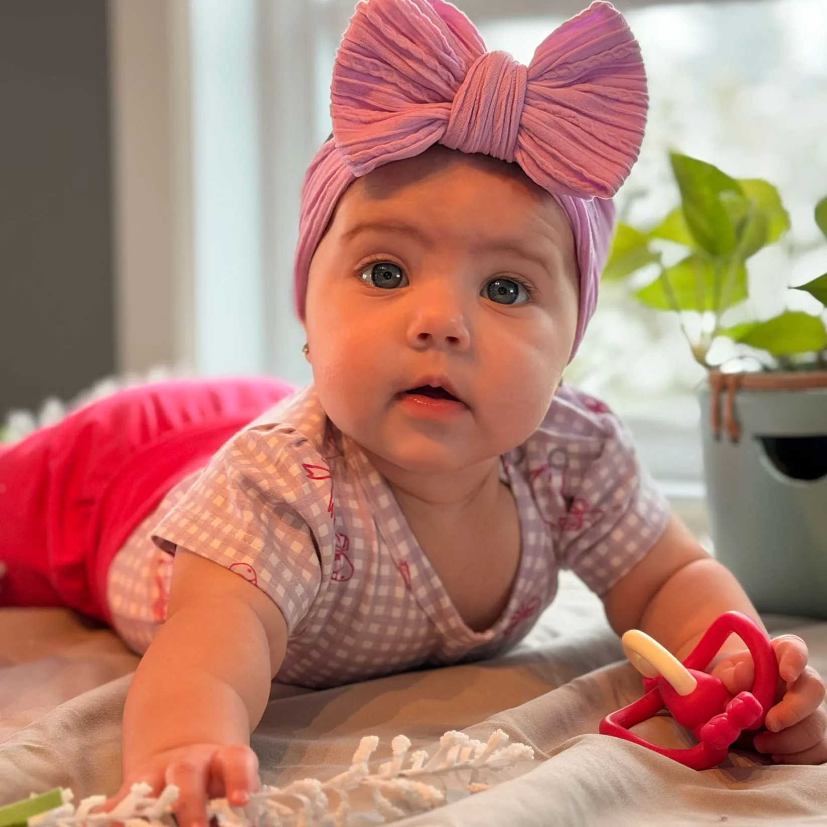 Best Duck Vichy Bodysuit 3-24m Tops