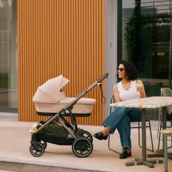 Strollers|Strollers & Trailers><noscript><img width=