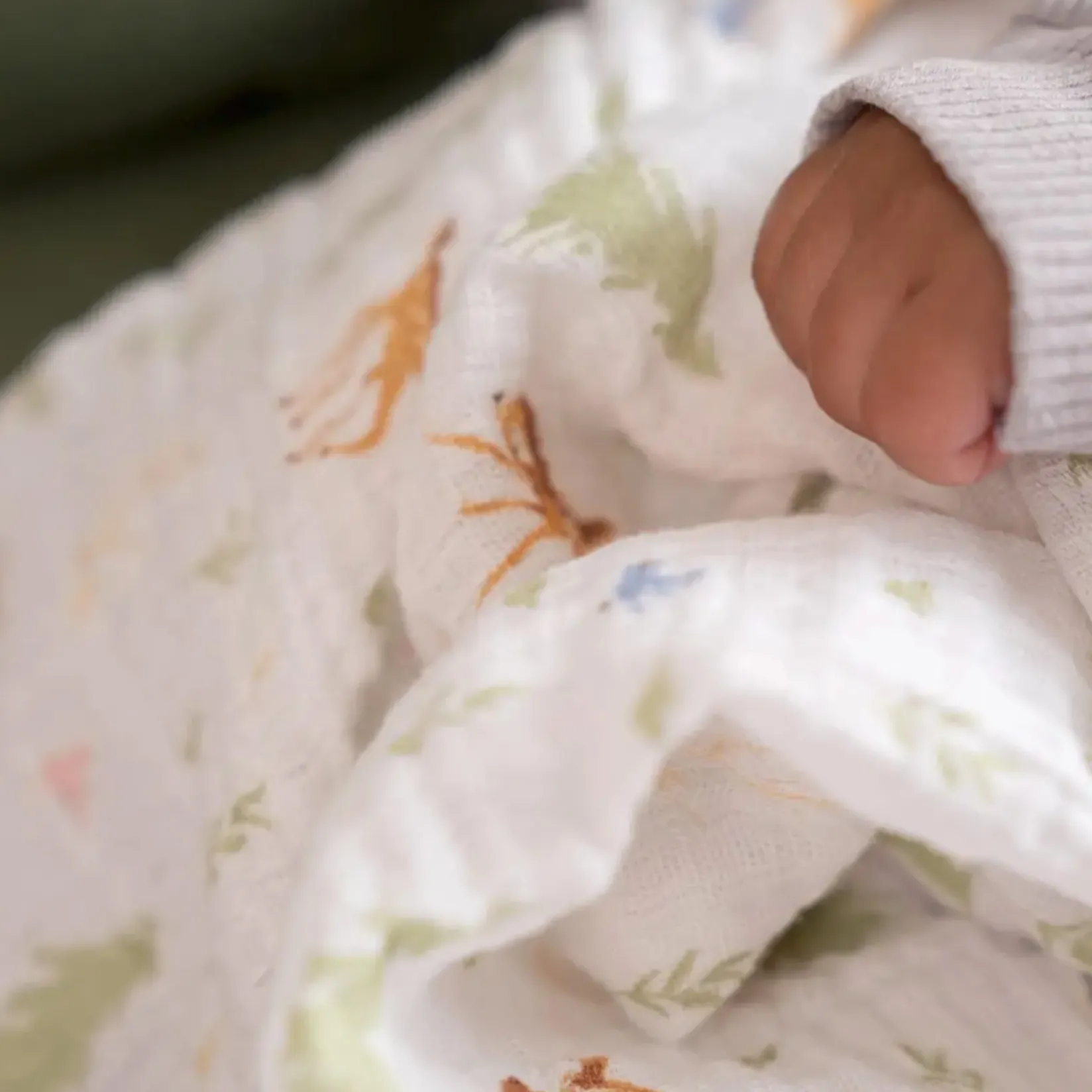 Blankets|Blankets>Aden + Anais Essentials Cotton Muslin Swaddles 2 Pack - Disney™ Bambi / Dumbo