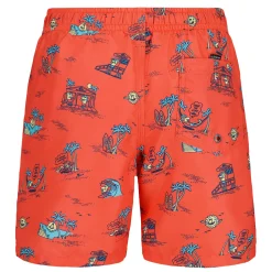 Swimsuits>Quiksilver Everyday Mix Volley 4-7 Red