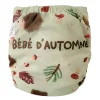 Online Evolution Washable Diaper - Autumn BOY Cloth Diapers|Cloth Diapers