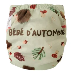 Online Evolution Washable Diaper - Autumn BOY Cloth Diapers|Cloth Diapers