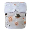 Online Evolution Washable Diaper - Cauldron BOY Cloth Diapers|Cloth Diapers