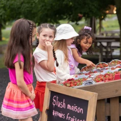 Dresses & Rompers><noscript><img width=