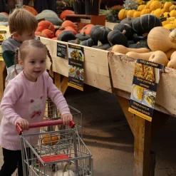 Flowers Poetry Knit Dress 2-8 Kids Dresses & Rompers