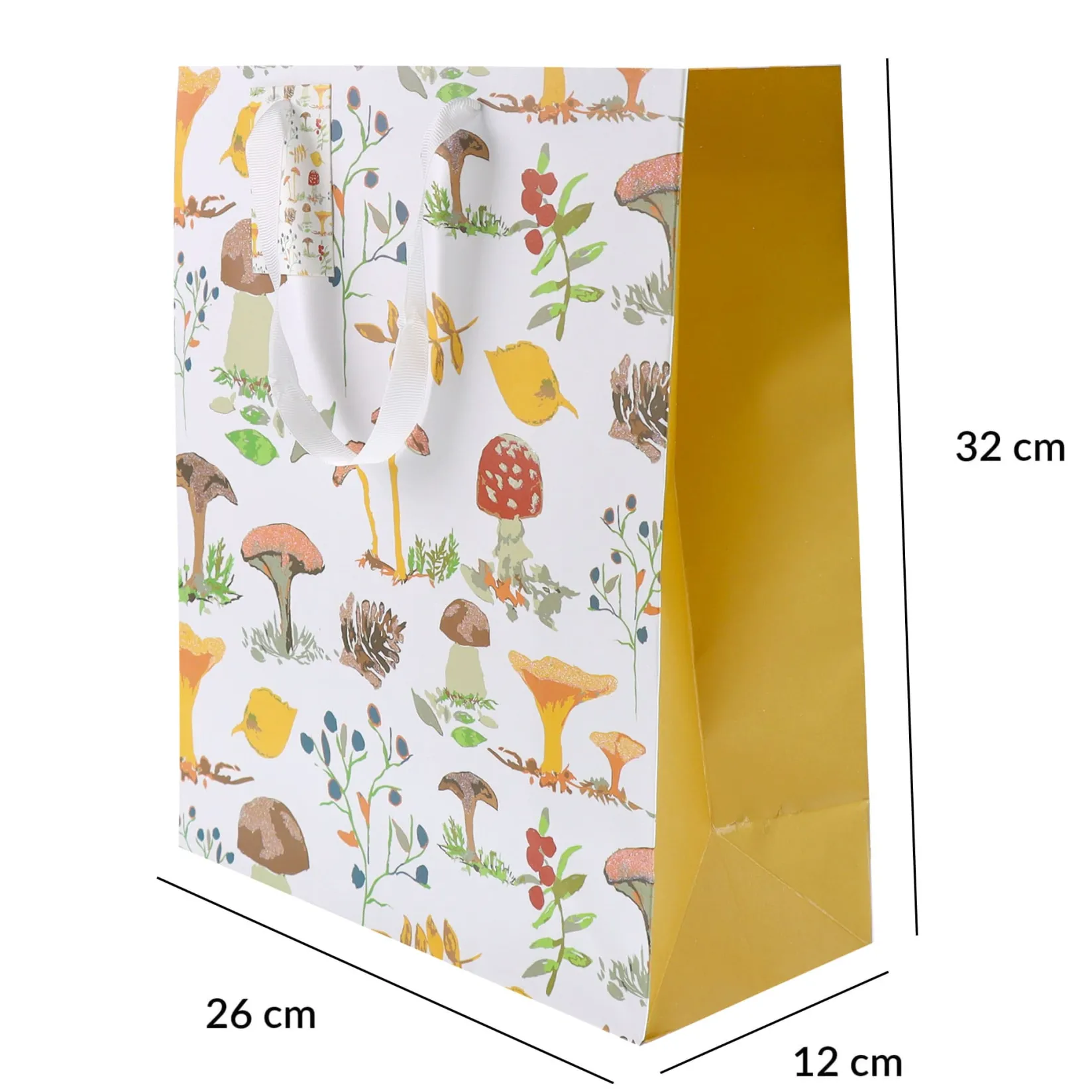 Clearance Gift Bag - Mushroom Party Supplies