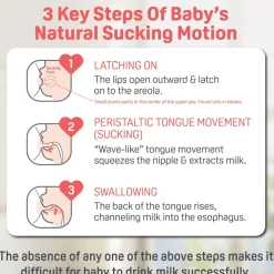 Discount Glass Bottle 5oz With SS Nipple Breastfeeding|Bottles & Nipples