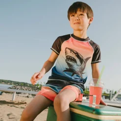 Best Gradient Swim Short 2-6 Kids/BOY Swimsuits