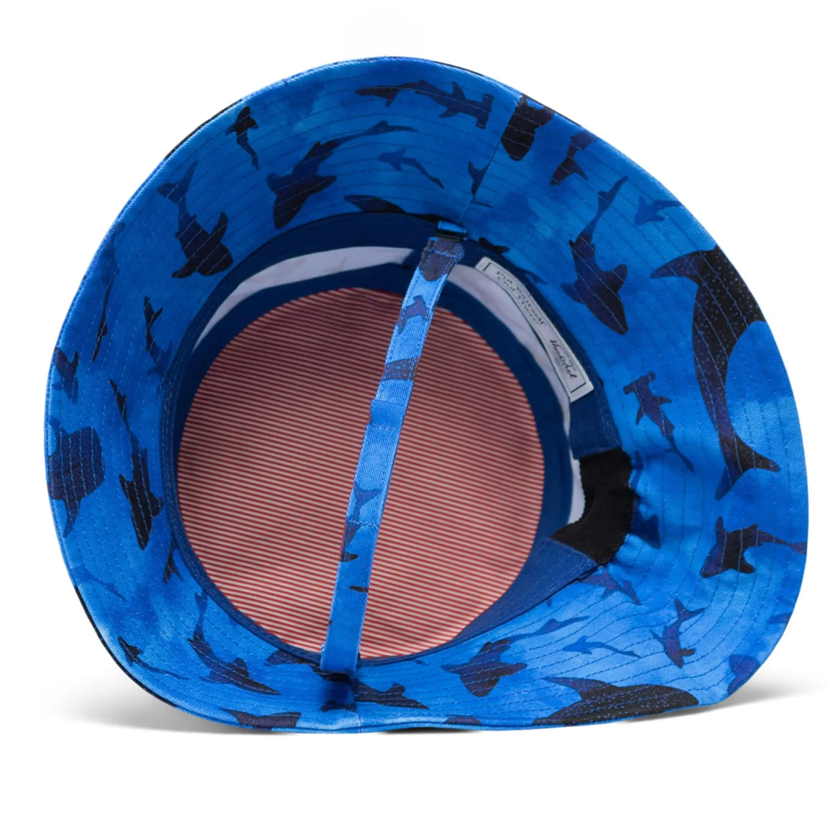 Hot Hat for ages 2-4 - Sharks Kids/BOY Hats And Caps