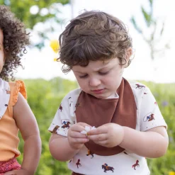 Tops><noscript><img width=