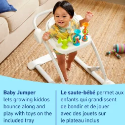 Swings & Rockers><noscript><img width=