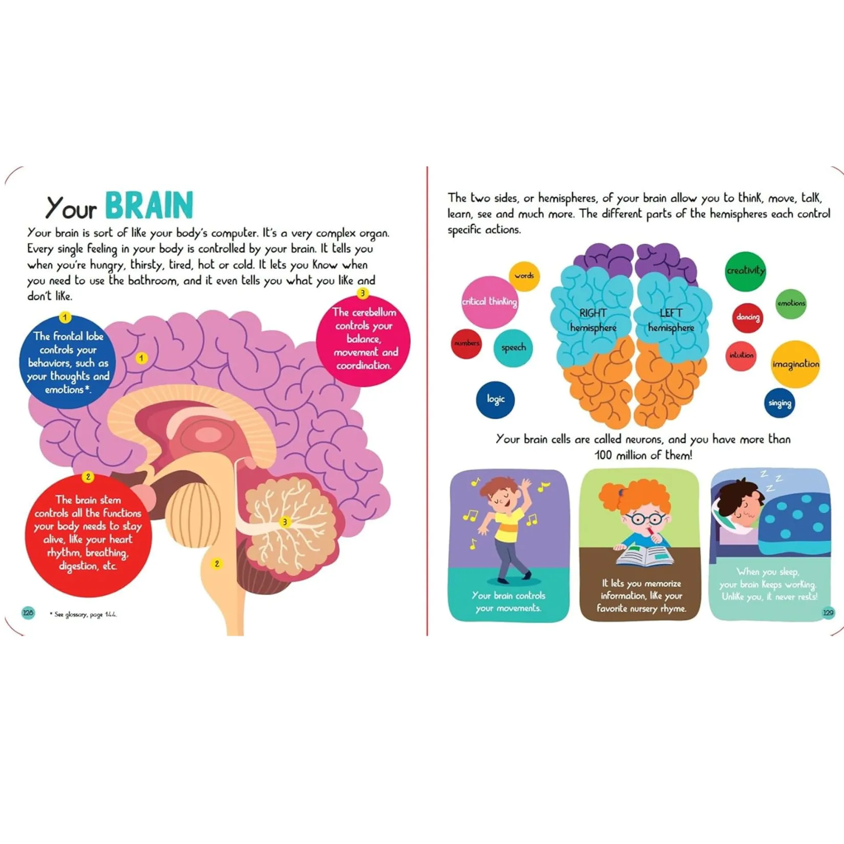 Junior Encyclopedia Of Human Body English Books|2 Years And Over