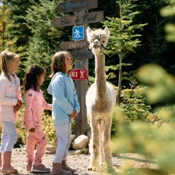 Fleeces And Sweatshirts|Tops><noscript><img width=