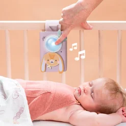 Developmental Toys>Taf Toy Kit Bunny Soother & Swaddle