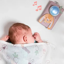 Developmental Toys><noscript><img width=