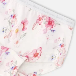 Clearance Kittens Panties (3) 2-12 Kids Underwear & Socks