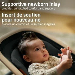 Swings & Rockers><noscript><img width=