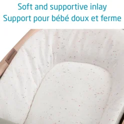 Swings & Rockers><noscript><img width=