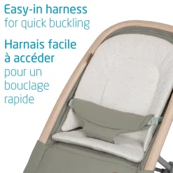 Swings & Rockers><noscript><img width=