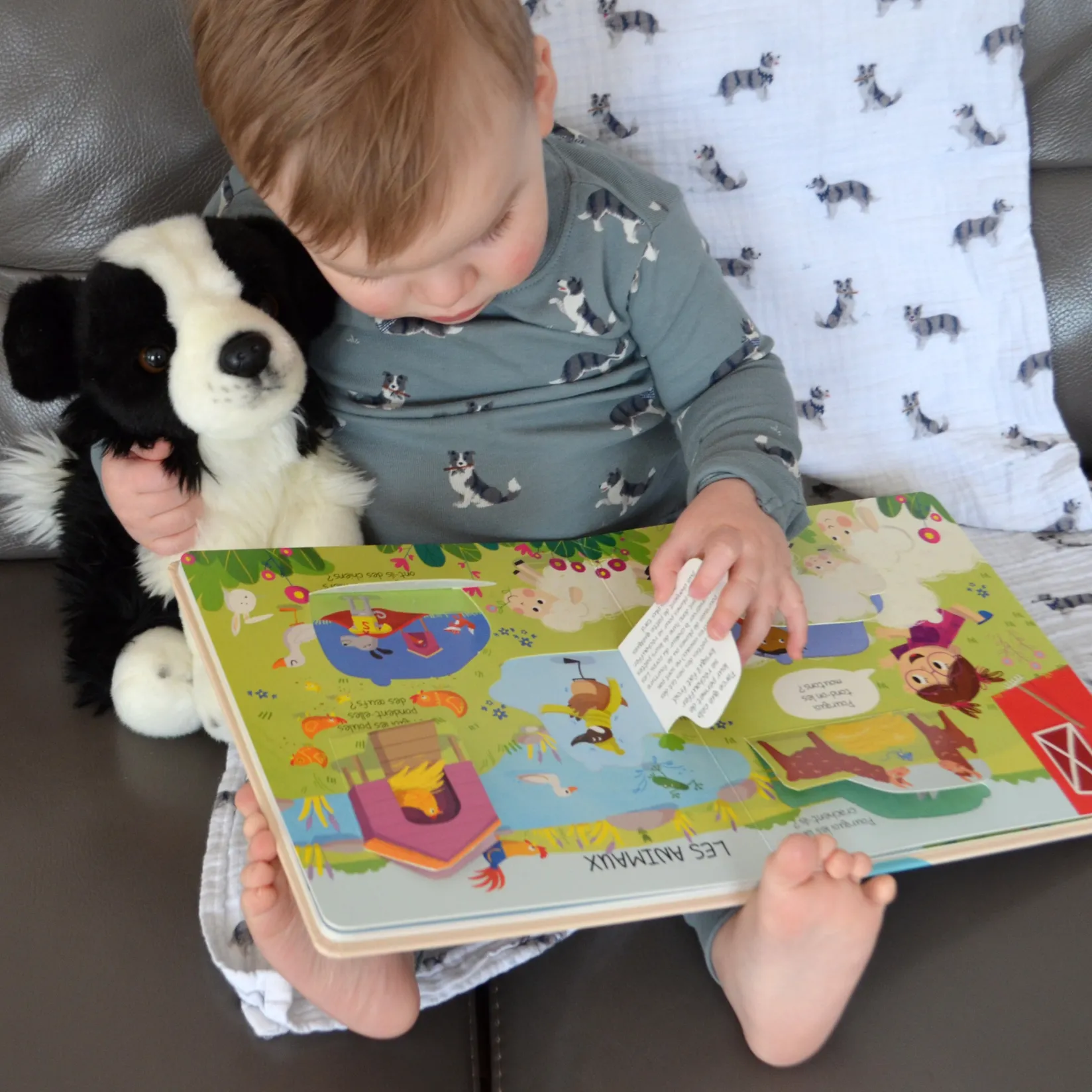 Best La ferme - Pourquoi ? - Questions et réponses pour les tout-petits 2 Years And Over|Baby 0-2 Years