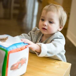 Developmental Toys><noscript><img width=