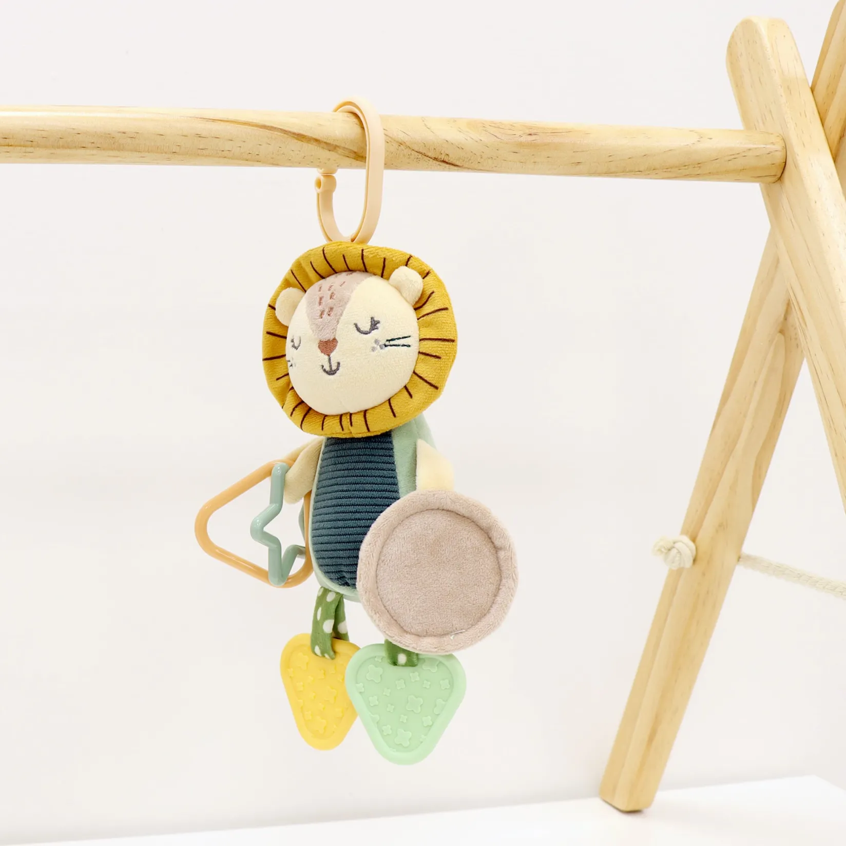 Best Lion Mirror Activity Developmental Toys