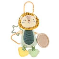 Best Lion Mirror Activity Developmental Toys