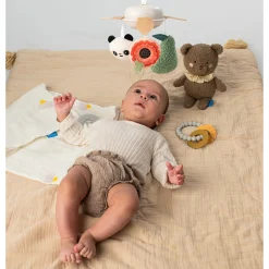 Developmental Toys><noscript><img width=