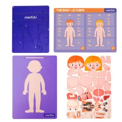Hot Magnetic Pad Human Anatomy Kids Puzzles