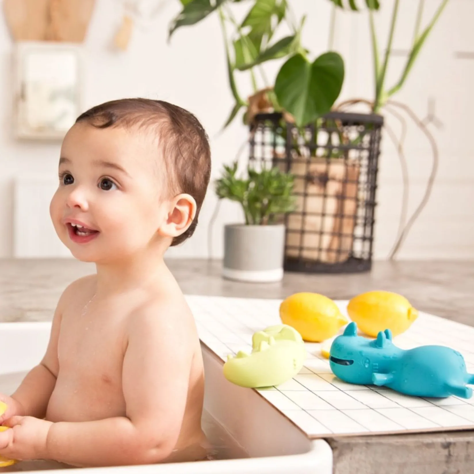 Bath Toys|Bath Accessories>Lilliputiens Marius Le Rhino Flottant