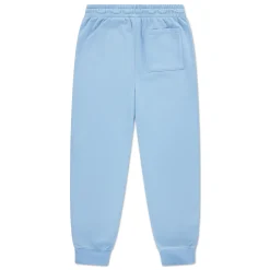 Sportswear|Pants & Jeans>Jordan Mj Brooklyn Fleece Pants 8-18y Blue