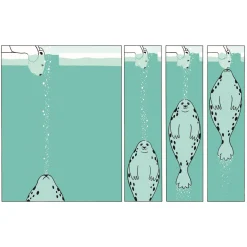 Hot Mon Coeur 4 Years And Over|2 Years And Over