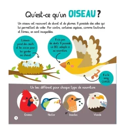 Outlet Mon Encyclopetit des Animaux Quebec Books|2 Years And Over