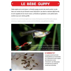 Best Mon Grand Animalier des Bébés Quebec Books|2 Years And Over