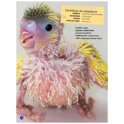 Best Mon Grand Animalier des Bébés Quebec Books|2 Years And Over