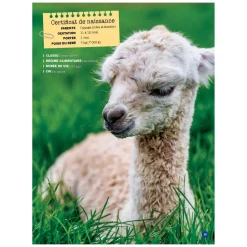 Best Mon Grand Animalier des Bébés Quebec Books|2 Years And Over