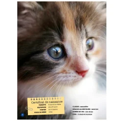 Best Mon Grand Animalier des Bébés Quebec Books|2 Years And Over