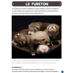 Best Mon Grand Animalier des Bébés Quebec Books|2 Years And Over