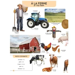 Sale Mon Imagier Des 1000 Mots Anglais Quebec Books|2 Years And Over