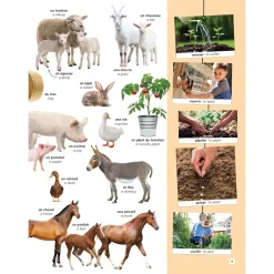 Sale Mon Imagier Des 1000 Mots Anglais Quebec Books|2 Years And Over