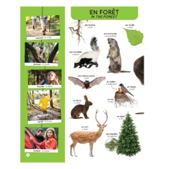 Sale Mon Imagier Des 1000 Mots Anglais Quebec Books|2 Years And Over