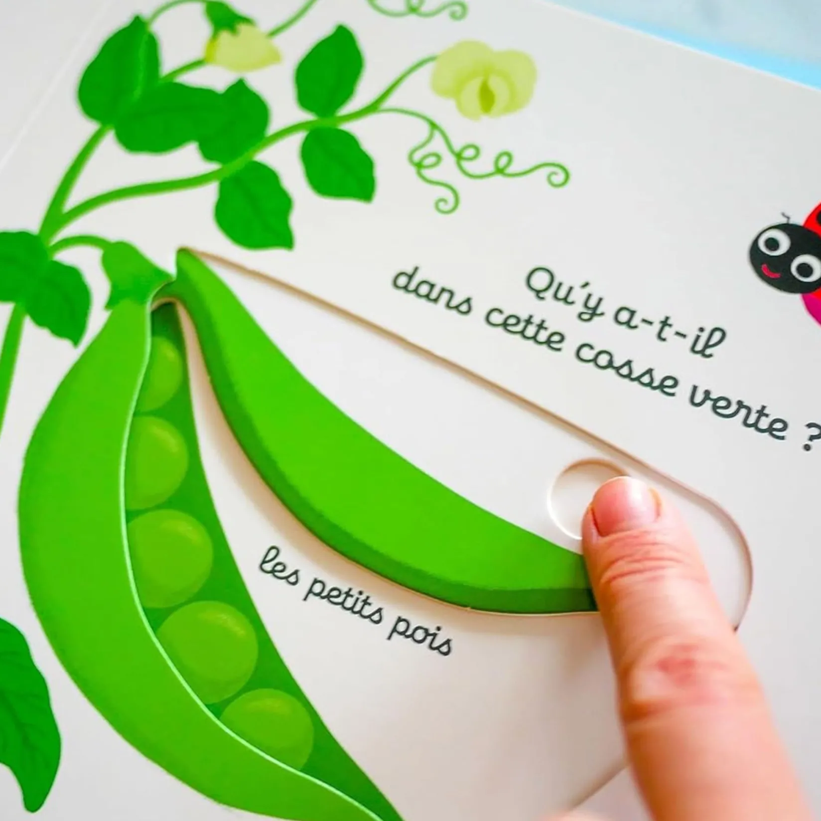 Baby 0-2 Years>Nathan Mon Imagier des Légumes