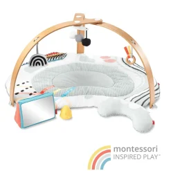 Developmental Toys|Play Mat>Skip Hop Montessori Inspired Play Gym