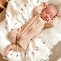 Blankets|Blankets><noscript><img width=