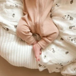 Blankets|Blankets><noscript><img width=