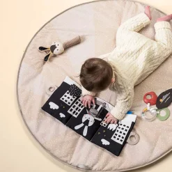 Developmental Toys><noscript><img width=