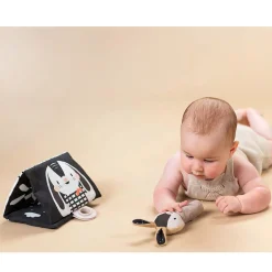 Developmental Toys><noscript><img width=