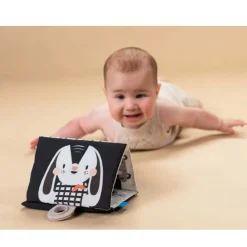 Developmental Toys><noscript><img width=